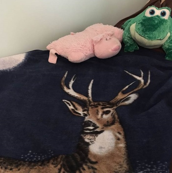 deer_blanket