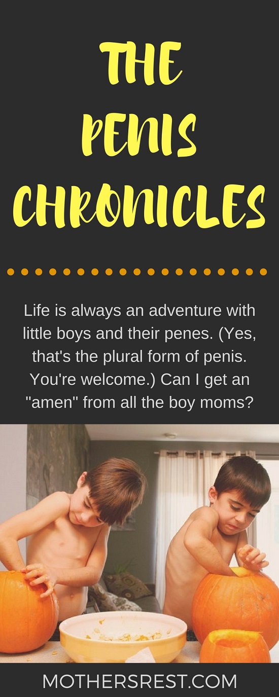 Life is always an adventure with little boys and their penes. (Yes, that's the plural form of penis. You're welcome.) Can I get an AMEN from all the boy moms? 