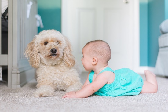 baby_with_dog