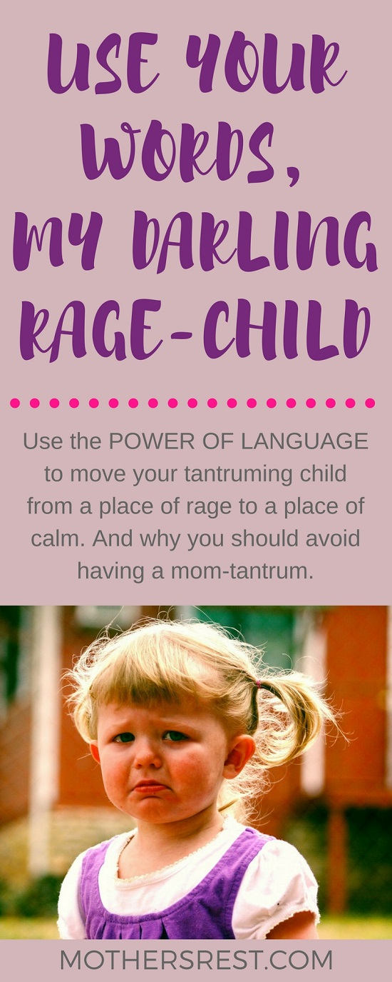 Tips on how to use the power of language to move your cute little, tantruming child from a place of rage to a place of calm. And why you should avoid having a mom-tantrum. 