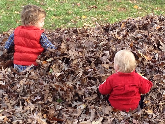 boys_leaf_pile