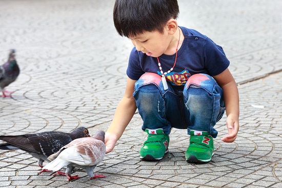 boy with birds