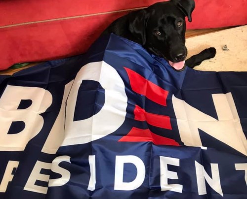 Biden flag